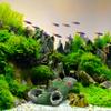 Relaxdays Aquarium Decor, Log Hideout for Fish & Shrimp view 2