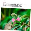 Mipcase 3-Piece Valentine’s Day Outfit Set with Lizard Leashes, Hats and Bow Ties view 4
