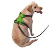 Dog Harness with Elephant Pattern for Large Dogs, Adjustable, Reflective, White view 3