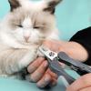 EWANTO 2-Pack Stainless Steel Nail Clippers for Dogs and Cats, Pink view 3