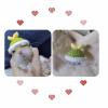 Factorys Hamster Hat, Mini Cap for Small Animals view 3