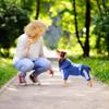 Dolahovy Dog Hoodie for Pets view 3