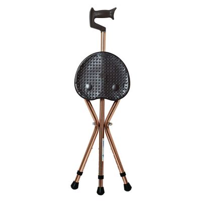 GGZONE Folding Walking Cane with Seat for Seniors, Beautiful Scenery