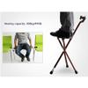 GGZONE Folding Walking Cane with Seat for Seniors, Beautiful Scenery view 3