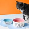 Pink Ceramic Pet Bowl for Cats, Easy to Clean view 4