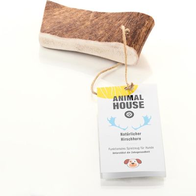 Animal House Deer Antler for Dogs