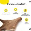 Animal House Deer Antler for Dogs view 3