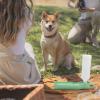 pologmase Dog Water Bottle - Portable Water Bottle for Dogs view 3