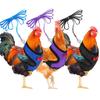 Adjustable Chicken Harness with Leash view 3