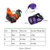 Adjustable Chicken Harness with Leash view 4