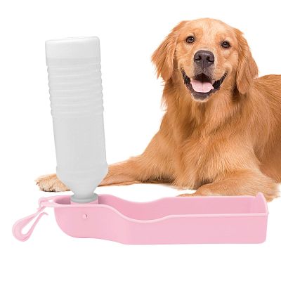 Miake Water Dispenser for Puppies