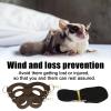 Outdoor Sugar Glider Leash - 3 Piece Set view 2