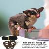Outdoor Sugar Glider Leash - 3 Piece Set view 3