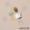 JOICO InnerJoi Strengthen Conditioner 1000 ml view 4