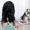 Personalized Stainless Steel Dog Bowls for Small, Medium, and Large Dogs and Cats, Non-Slip Bottom, Green view 2