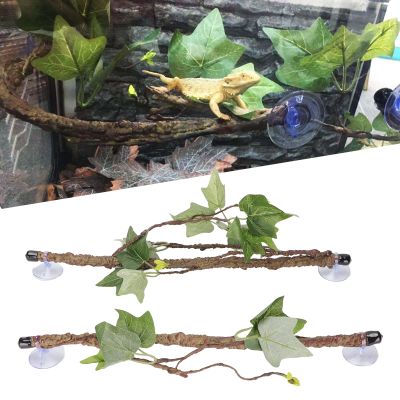 BEIJIALY Reptile Corner Branch