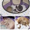 Foldable Dog Kennel and Playpen for Small Dogs, Dream Purple view 4