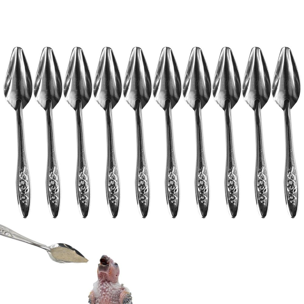 JPSDOWS Parrot Feeding Spoons - 10 Pack Stainless Steel