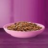 Whiskas Junior Wet Cat Food, Classic Selection in Gravy with Beef and Chicken, 52 Pouches, 13 x 4 x 85 g, for Kittens 2–12 Months view 4