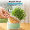 Shenrongtong Cat Grass Planter view 3