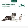 Innovet Repy Gel for Dogs & Cats, 75 mL view 4