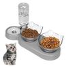 15° Inclined Cat Bowl with Stand and Gravity Water Dispenser view 1