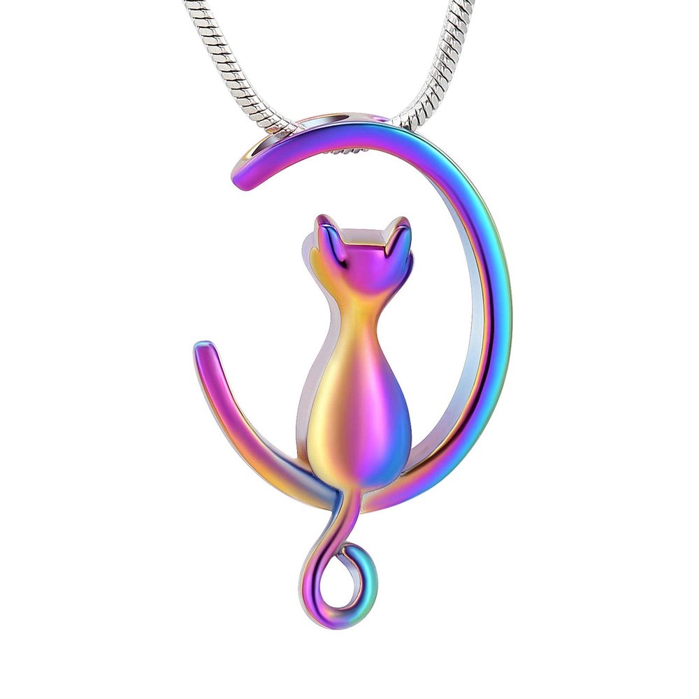 BIAIHQIE Pet Cremation Urn Necklace for Cat Ashes, Memorial Pendant