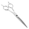 Stainless Steel Hairdressing Scissors, Ergonomic Design, Silver view 1