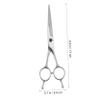 Stainless Steel Hairdressing Scissors, Ergonomic Design, Silver view 2