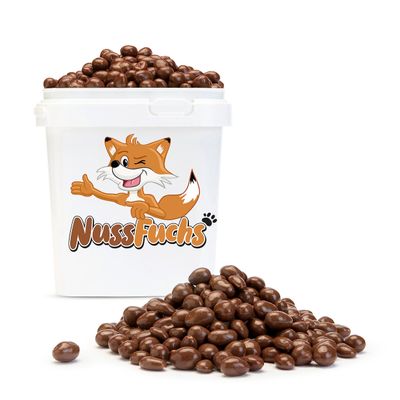 Milk Chocolate Peanuts, 4 kg Bucket, Whole Blanched Peanuts – NussFuchs