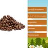 Milk Chocolate Peanuts, 4 kg Bucket, Whole Blanched Peanuts – NussFuchs view 3