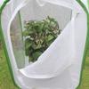 Qcwwy Insect Cage with Breathable Mesh view 2