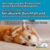 Diarsanyl Plus Double Pack, 2 x 10 ml Oral Paste Injector for Dogs and Cats view 2
