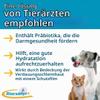 Diarsanyl Plus Double Pack, 2 x 10 ml Oral Paste Injector for Dogs and Cats view 3