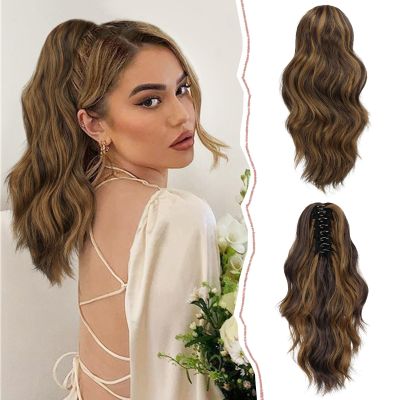 Sofeiyan Clip-In Ponytail Hair Extension, 30 cm