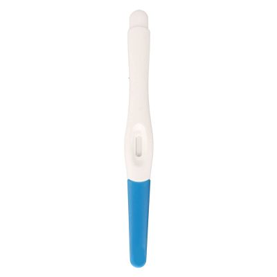 Fake Positive Pregnancy Test Prank Prop