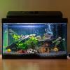 Aquarium Plants - Simulated Betta Fish Leaf view 3
