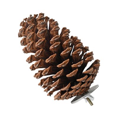 Pinecone Bird Perch Stand