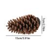 Pinecone Bird Perch Stand view 4