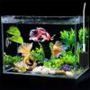 Graootoly 6-Pack Hammock for Aquariums view 3
