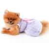 SMALLLEE_LUCKY_STORE Striped Princess Dress for Small Dogs and Cats, Blue, Size L view 4