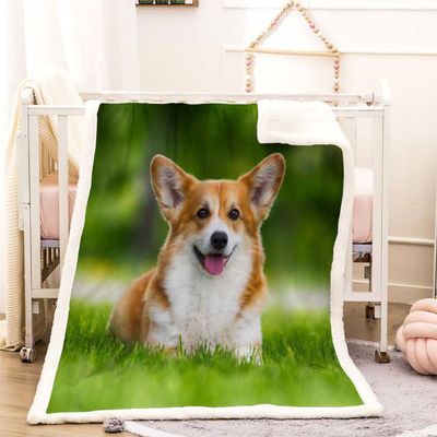 3D Corgi Sherpa Blanket 51 x 59 in