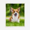 3D Corgi Sherpa Blanket 51 x 59 in view 3