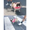 Feiling Dog Harness - Padded Adjustable Vest for Small to Large Dogs (Black, XXS) view 3