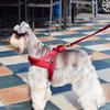 Feiling Dog Harness - Padded Adjustable Vest for Small to Large Dogs (Black, XXS) view 4