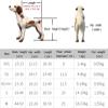 VIDECOR Dog Wheelchair, Adjustable Support for Small Dogs view 2