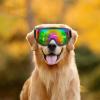 Windproof Dog Goggles, Waterproof Sunglasses for Dogs | Adjustable Eye-Protection Sunglasses for Cycling, UV and Dust Protection for Jildouf view 3