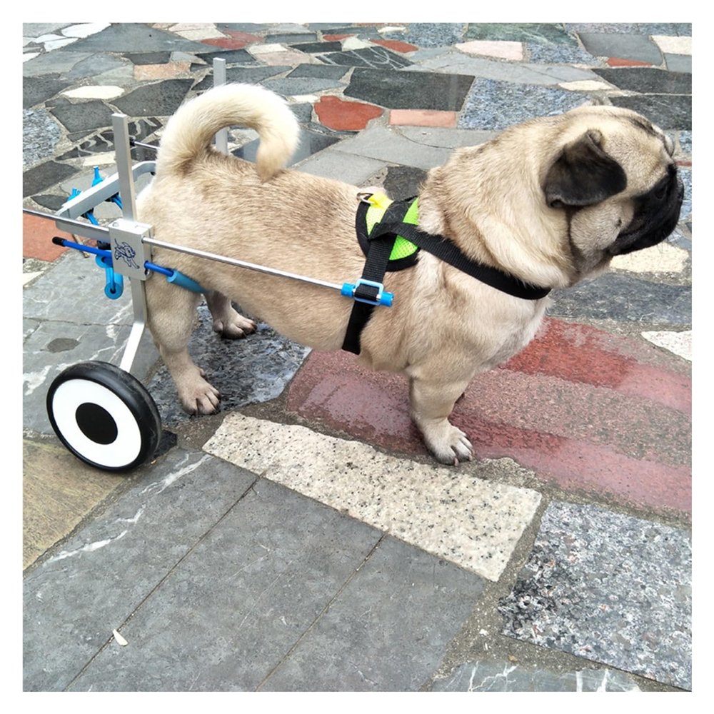 Dog/Cat Wheelchair for Hind-Leg Disabilities, Adjustable Aluminum, Size 7 (XXL)