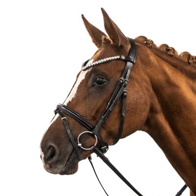 BRIDLERY Superior Bridle, Silver Hardware, Standard Design, Black, Thoroughbred Size