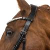 BRIDLERY Superior Bridle, Silver Hardware, Standard Design, Black, Thoroughbred Size view 2